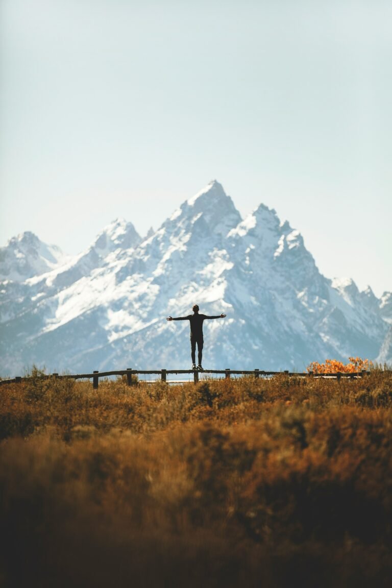 Nature’s Effect on Health: Why Just Looking at Greenery Calms the Body