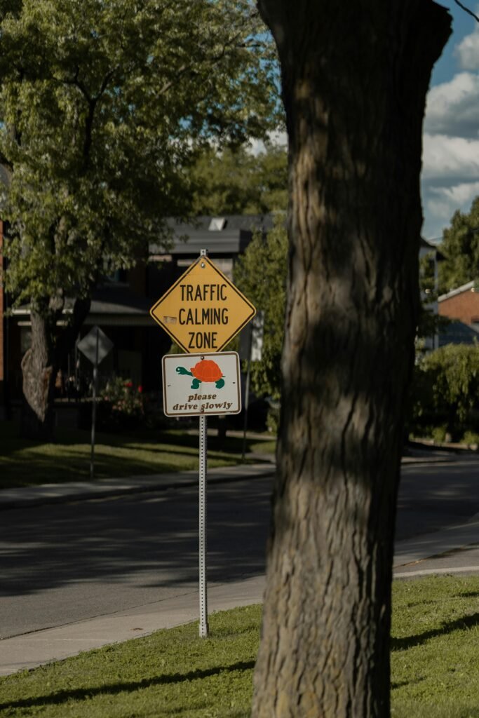 Street sign in a suburban neighborhood reads 'Traffic Calming Zone'.